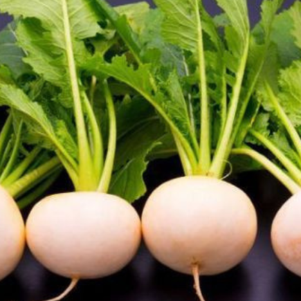 turnip-puns-jokes